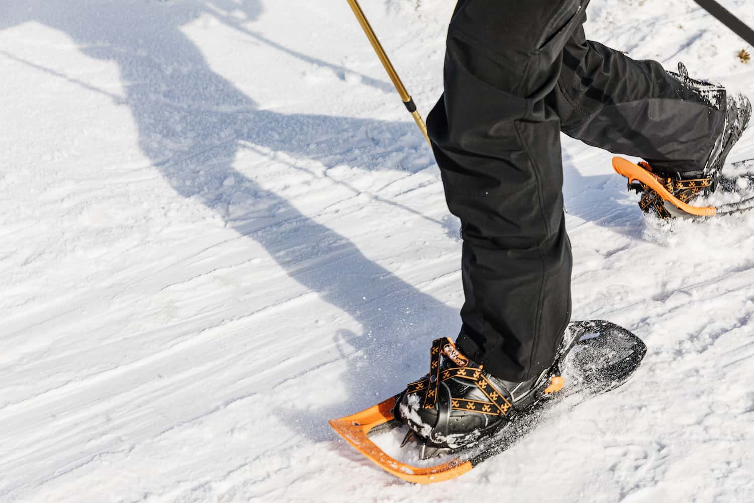 Quelle chaussure choisir pour faire de la raquette à neige ? - Le Blog E-Ben